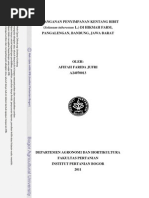 Download Penanganan Penyimpanan Kentang Bibit by Rizal Ambarita SN292204817 doc pdf