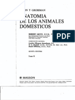 11anatomia de Los Animales Domesticos (Robert Getty (Tomo 2) )