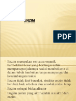 Download Enzim by Buan Duran SN29221319 doc pdf