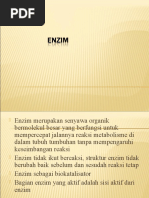 Download Enzim by Buan Duran SN29221319 doc pdf