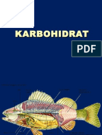 KARBOHIDRAT