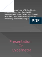 What Is Cybernetra