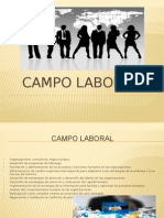 Campo Laboral