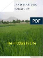 Case Study Karez Dand