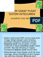 Sistem Saraf Pusat