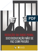 36 Redução Da Maioridade Penal Socioeducação Não Se Faz Com Prisão