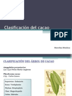 Clasificación Del Cacao Marcelina Mendoza - Scrib
