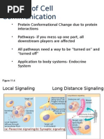 Cell Communication 1