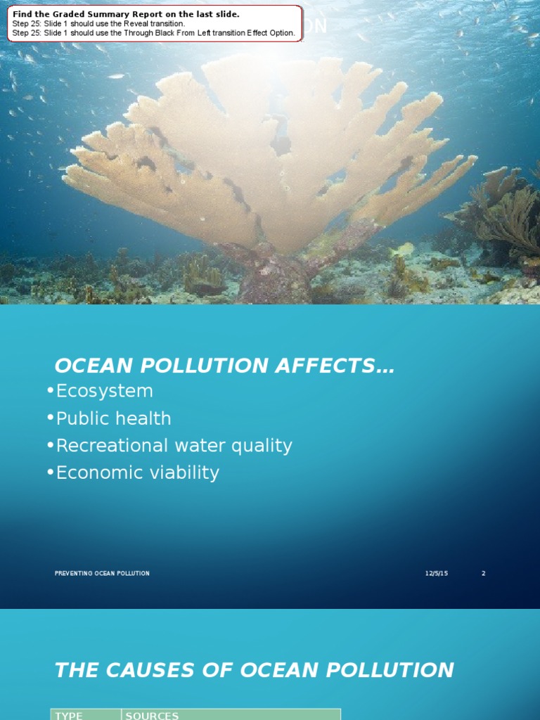 Preventing Ocean Pollution Guide | PDF | Environmental Issues | Pollution
