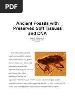 Download Ancient Fossils with Preserved Soft Tissues and DNA by Sean Pitman MD SN2923022 doc pdf