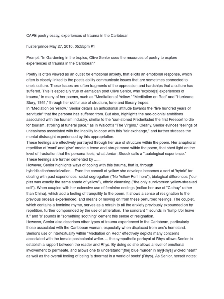 Essay on seeing the light by olive senior image