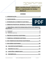 Aula 00 - Princípios Constitucionais Relativos Aos Direitos Políticos e Organização Da Justiça Eleitoral