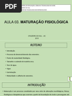 Aula 03. Maturação Fisiológica