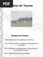 Sumário de Touros