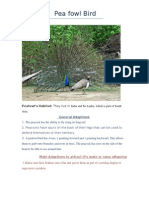 Pea Fowl Bird: Peafowl's Habitat: They Live in India and Sri Lanka, Which Is Part of South