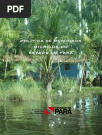 Politica de Recursos Hidricos Do Estado Do Para