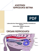 Asistensi Organ Reproduksi Hewan Betina 2015