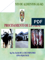 PROCESAMIENTO DE LA CARNE.pdf