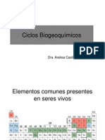 3 Ciclos Biogeoquímicos