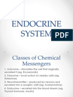 Endocrine System Report