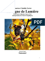 Francisco Candido Xavier Fr Série Source Vive 03 La Vigne de Lumiere Yjsp