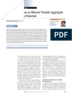 Root Lengthening Mta