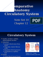 CA Section 12- Circulatory System (Chapter 12)