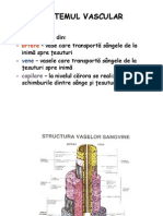 Sistemul vascular - artere.pdf