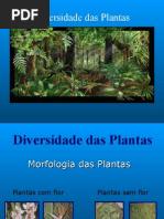 Diversidade Das Plantas