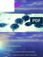 PROTOZOOLOGI