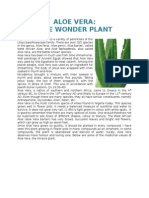 Aloe Vera The Wonder Plant