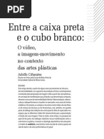 Entre Caixa Preta e Cubo Branco