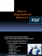 Introduction To Organizational Behavior