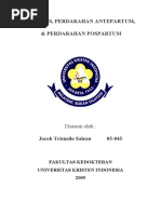 Download Abortus Hap Hpp by adde salean SN29237005 doc pdf