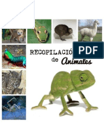 Recopilación de Animales 1 (1)