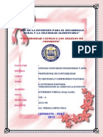 informe-iiactividadpastoral-peregrinacin-130803131935-phpapp02.pdf