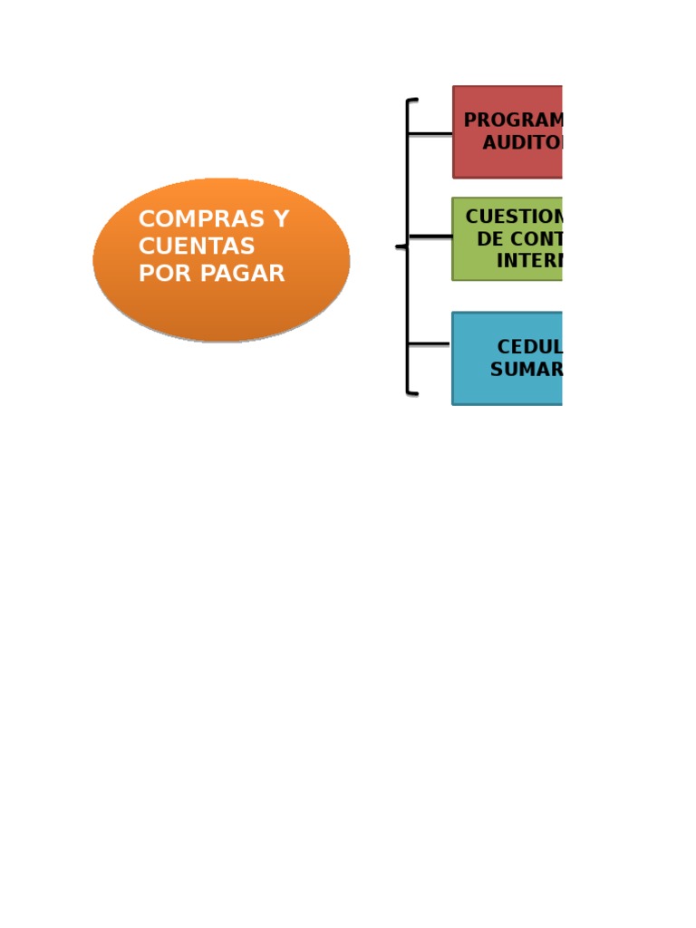 Auditoría de Compras y Cuentas por Pagar | PDF | Contabilidad | Impuestos