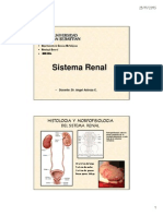 Histo - Clase 13 Sistema Renal - Enfe - Bacs - Kine