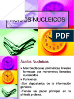 2015ESTRUCTURA DE ÁCIDOS NUCLEICOS (1).pdf