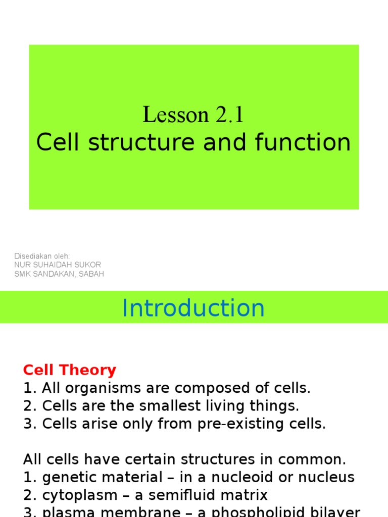 Cell Structure and Function Overview | PDF | Endoplasmic Reticulum ...