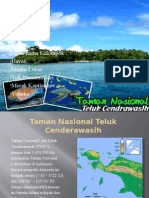 Wisata Teluk Cendrawasih