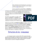 Un Cromosoma Es Un Filamento Condensado de Ácido Desoxirribonucleico Cuyo Número Es Constante para Cada Especie Animal o Vegetal