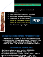 Recursos Geneticos Cacao