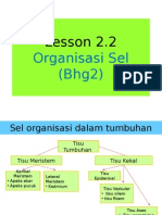 Lesson 2.2: Organisasi Sel (Bhg2)