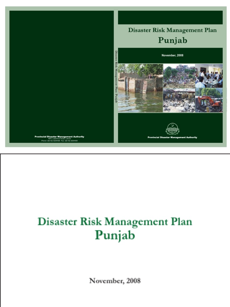 4 PDMA Punjab | PDF | Emergency Management | Climate Resilience