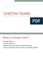 Cheetah Teams Definition