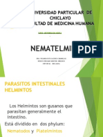 Nematelminto S