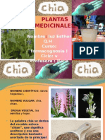 Planta Medicinal CHIA (Luz Esther ) 2015