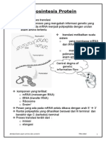 Biosintesis Protein