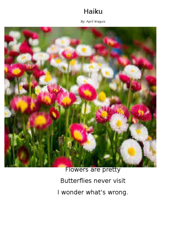 Haiku | PDF